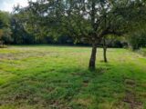 Terrain à bâtir à Compreignac (87140) 2129665-10865annonce420250410nUGU6.jpeg Maisons Millot