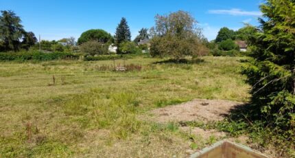 Saint-Sulpice-les-Feuilles Maison neuve - 2130850-10865annonce120250411h5WHb.jpeg Maisons Millot