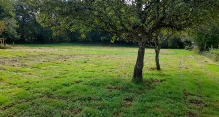 Compreignac Maison neuve - 2129679-10865annonce420250410nUGU6.jpeg Maisons Millot