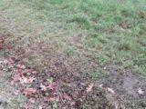 Terrain à bâtir à Solignac (87110) 2078820-3291annonce120250213s6tfT.jpeg Maisons Millot