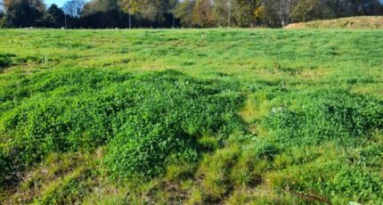 Royères Terrain à bâtir - 2134915-3291annonce120250417TZvfk.jpeg Maisons Millot