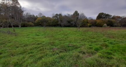 Anzême Maison neuve - 2136179-10865annonce220250418mBcbP.jpeg Maisons Millot