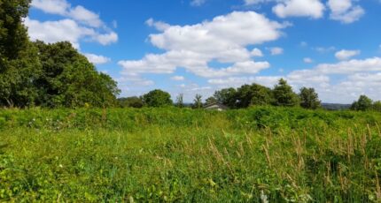Saint-Junien Maison neuve - 2136061-10865annonce220250418XlPiq.jpeg Maisons Millot