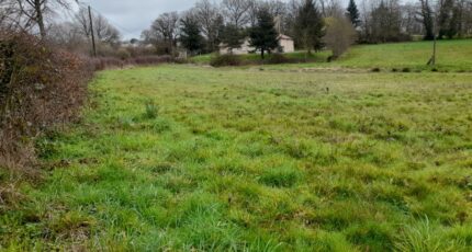 Saint-Vaury Maison neuve - 2140190-10865annonce1202504246x7D8.jpeg Maisons Millot