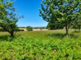 Maison à construire à Saint-Martin-Terressus (87400) 2140020-10865annonce120250424TQKVQ.jpeg Maisons Millot