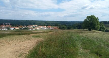 Le Palais-sur-Vienne Maison neuve - 2140052-10865annonce320250424LXET4.jpeg Maisons Millot