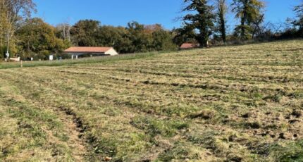 Bonnac-la-Côte Maison neuve - 2141057-10865annonce120250425hETgS.jpeg Maisons Millot