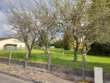 Maison à construire à Beaune les Mines (87280) 2139969-10865annonce120250424Cv6dQ.jpeg Maisons Millot