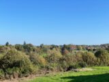 Terrain à bâtir à Boisseuil (87220) 2072676-10865annonce320250206s9gwa.jpeg Maisons Millot