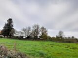 Terrain à bâtir à Saint-Sulpice-le-Guérétois (23000) 2072963-10865annonce220250206iQTak.jpeg Maisons Millot