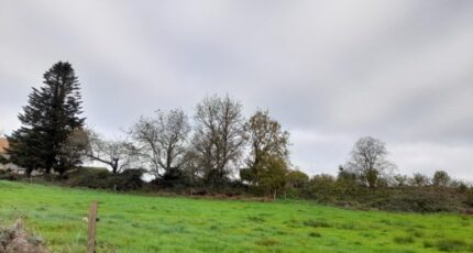 Saint-Sulpice-le-Guérétois Terrain à bâtir - 2072963-10865annonce220250206iQTak.jpeg Maisons Millot