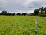 Terrain à bâtir à Saint-Vaury (23320) 2093942-10865annonce220250228am3cU.jpeg Maisons Millot