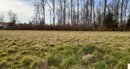 Feytiat Terrain à bâtir - 2114464-10865annonce1202503213QwTx.jpeg Maisons Millot