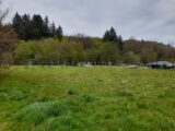 Terrain à bâtir à Compreignac (87140) 2119500-10865annonce4202503270ds9y.jpeg Maisons Millot