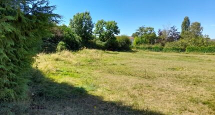 Saint-Sulpice-les-Feuilles Terrain à bâtir - 2120371-10865annonce120250328lcNVC.jpeg Maisons Millot