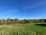 Maison à construire à Boisseuil (87220) 2072717-10865annonce120250206lcKvy.jpeg Maisons Millot