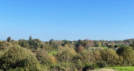 Boisseuil Maison neuve - 2072717-10865annonce320250206s9gwa.jpeg Maisons Millot