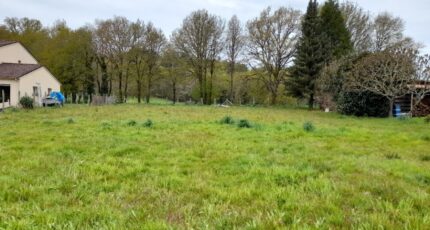 Compreignac Maison neuve - 2119514-10865annonce120250327C2Dxd.jpeg Maisons Millot