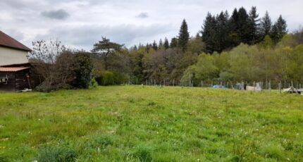 Compreignac Maison neuve - 2119514-10865annonce320250327zMCay.jpeg Maisons Millot