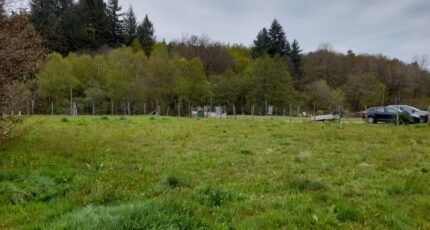 Compreignac Maison neuve - 2119514-10865annonce4202503270ds9y.jpeg Maisons Millot