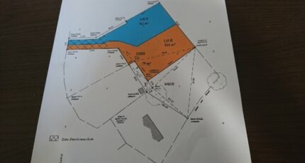 Bellac Terrain à bâtir - 2152622-10865annonce120250509Mh089.jpeg Maisons Millot
