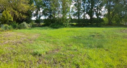 Bellac Terrain à bâtir - 2152622-10865annonce320250509SD6PF.jpeg Maisons Millot