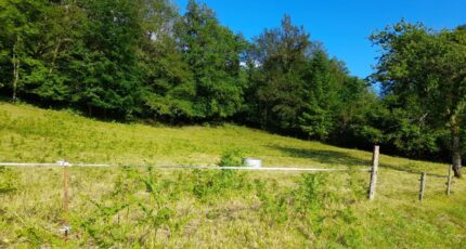 Saint-Léger-la-Montagne Terrain à bâtir - 2152633-10865annonce220250509m1Kf8.jpeg Maisons Millot