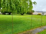 Maison à construire à Couzeix (87270) 2152602-10865annonce120250509TNbLu.jpeg Maisons Millot