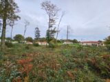 Maison à construire à Saint-Priest-sous-Aixe (87700) 2159049-11074annonce120250516FNdON.jpeg Maisons Millot