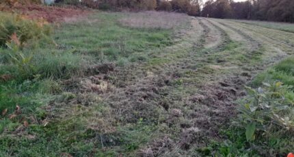 Bonnac-la-Côte Terrain à bâtir - 2141017-10865annonce220250425wTT8T.jpeg Maisons Millot