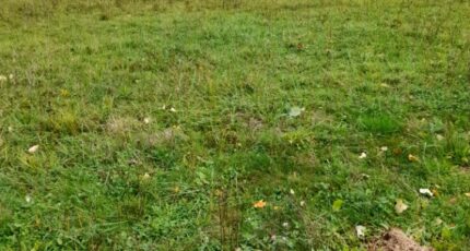Verneuil-sur-Vienne Maison neuve - 2187589-3291annonce120250611hBIvg.jpeg Maisons Millot