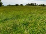 Terrain à bâtir à Limoges (87100) 2187948-3291annonce120250611SnJg7.jpeg Maisons Millot