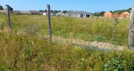 Couzeix Maison neuve - 2188613-3291annonce1202506125oRP5.jpeg Maisons Millot