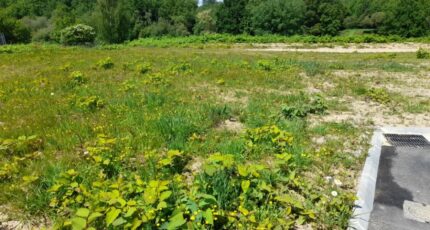 Feytiat Terrain à bâtir - 2189559-3291annonce1202506126nRS8.jpeg Maisons Millot