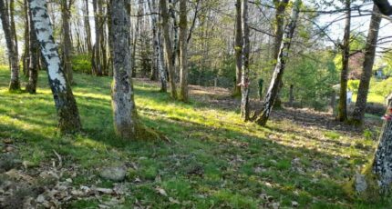 Ambazac Terrain à bâtir - 2191454-10865annonce120250613z4fz9.jpeg Maisons Millot