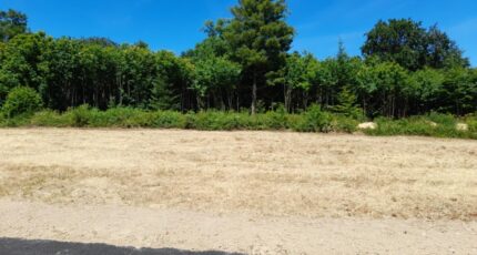 Feytiat Maison neuve - 2193764-3291annonce1202506162XOHR.jpeg Maisons Millot
