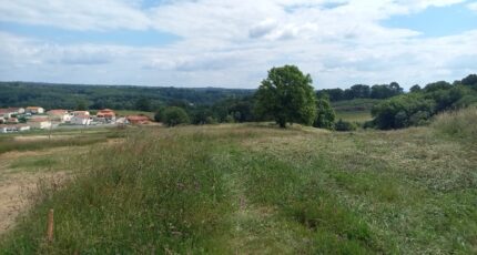 Le Palais-sur-Vienne Maison neuve - 2200171-10865annonce120250620sAGkR.jpeg Maisons Millot
