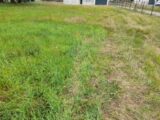 Maison à construire à Nieul (87510) 2206039-3291annonce1202506266nSOh.jpeg Maisons Millot
