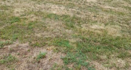 Saint-Gence Terrain à bâtir - 2206377-3291annonce120250626UFQbt.jpeg Maisons Millot
