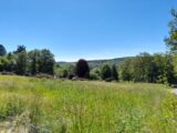 Terrain à bâtir à Saint-Priest-Taurion (87480) 2207970-10865annonce220250627JdXE2.jpeg Maisons Millot