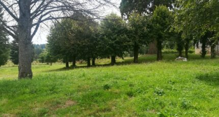 Saint-Just-le-Martel Maison neuve - 2207825-10865annonce320250627hlsB6.jpeg Maisons Millot