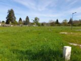 Maison à construire à Châtelus-Malvaleix (23270) 2207989-10865annonce120250627OpzfX.jpeg Maisons Millot