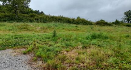 Razès Terrain à bâtir - 2187517-3291annonce120250611fG88V.jpeg Maisons Millot