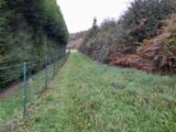 Terrain à bâtir à La Brionne (23000) 2220969-10865annonce220250710tJ4JT.jpeg Maisons Millot