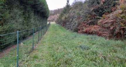 La Brionne Terrain à bâtir - 2220969-10865annonce220250710tJ4JT.jpeg Maisons Millot