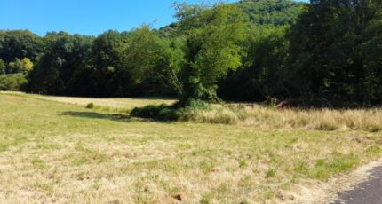 Saint-Sulpice-Laurière Terrain à bâtir - 2220915-10865annonce120250710KHcWh.jpeg Maisons Millot