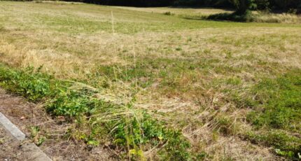 Saint-Sulpice-Laurière Terrain à bâtir - 2220915-10865annonce220250710oFTcv.jpeg Maisons Millot