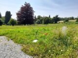 Terrain à bâtir à Razès (87640) 2222550-10865annonce220250711TBCTM.jpeg Maisons Millot