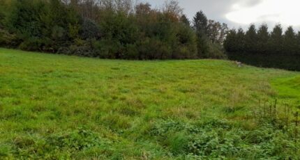 La Brionne Maison neuve - 2220979-10865annonce420250710vXs7D.jpeg Maisons Millot