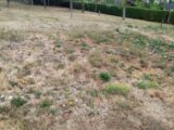 Maison à construire à Isle (87170) 2230663-3291annonce1202507222ZSFd.jpeg Maisons Millot